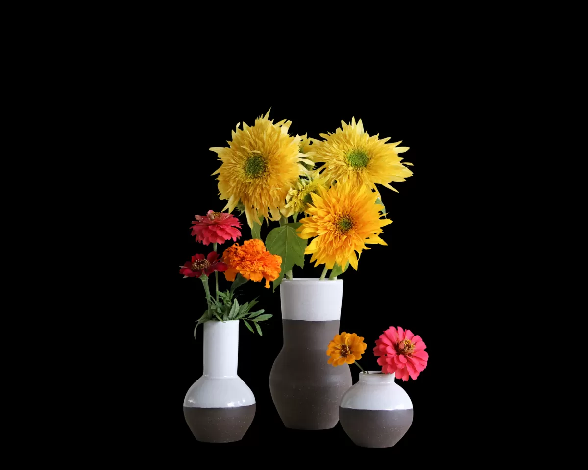 Jono Pandolfi Designs Vase Bundle^ Bundles | Home Accessories